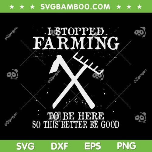 I Stopped Farming To Be Here SVG PNG, So This Better Be Good SVG, Motivational Quotes DXF SVG PNG EPS