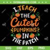 I Teach The Cutest Pumpkins SVG PNG, Halloween Pre K Kindergarten Teacher SVG, Teacher Halloween DXF SVG PNG EPS