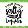 If You're Gonna Be Salty Bring The Tequila SVG PNG, Salty Tequila SVG, Funny Quote DXF SVG PNG EPS