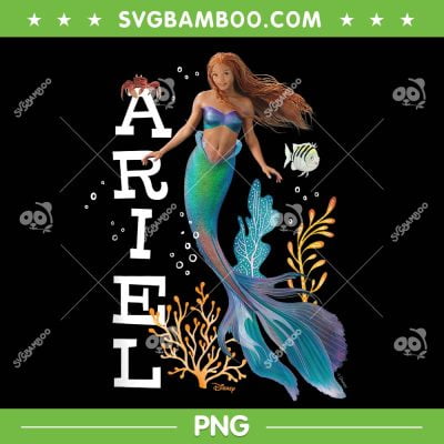 Little Mermaid Ariel PNG, Ariel Disney The Little Mermaid PNG, Disney Princess PNG