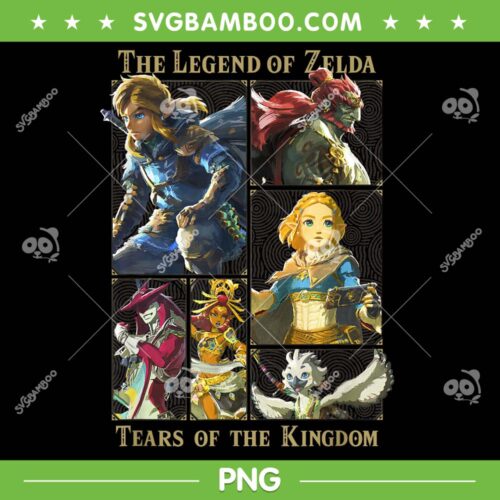 The Legend Of Zelda Tears Of The Kingdom PNG, Zelda Princess PNG, Link Zelda PNG
