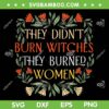 They Didn't Burn Witches They Burned Women SVG, Feminist Witch SVG, Taylor Swift DXF SVG PNG EPS