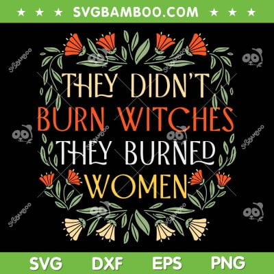They Didn't Burn Witches They Burned Women SVG, Feminist Witch SVG, Taylor Swift DXF SVG PNG EPS