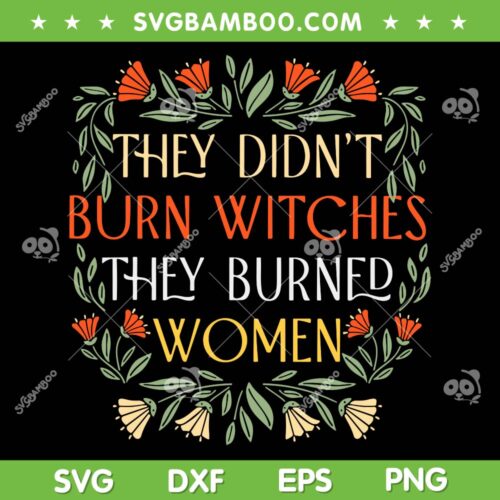 They Didn't Burn Witches They Burned Women SVG, Feminist Witch SVG, Taylor Swift DXF SVG PNG EPS