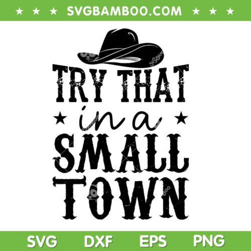 Try That In A Small Town Aldean SVG PNG, Country Music SVG, Jason Aldean DXF SVG PNG EPS