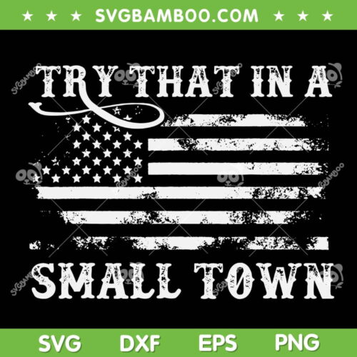 Try That in a Small Town USA Flag SVG, Jason Aldean 2023 SVG, Trends Country Song DXF SVG PNG EPS