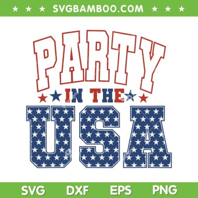 Vintage Party In The USA SVG PNG, 4th Of July Party SVG, Party American Flag DXF SVG PNG EPS
