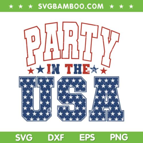Vintage Party In The USA SVG PNG, 4th Of July Party SVG, Party American Flag DXF SVG PNG EPS