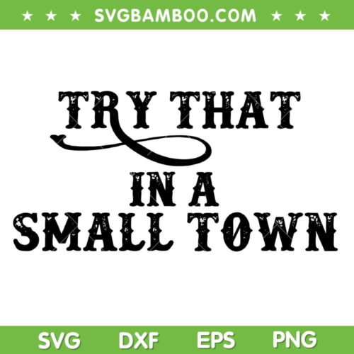 Vintage Try That In A Small Town SVG PNG, Country Music Aldean SVG, Small Town Aldean DXF SVG PNG EPS