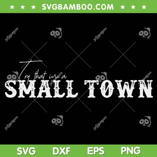 Womens Try That In A Small Town SVG, Country Music Jason Aldean SVG PNG, Aldean Small Town DXF SVG PNG EPS