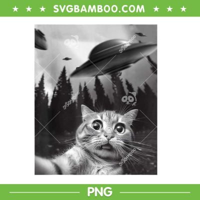 Cat Selfie With Alien UFO PNG, Alien Ufo And Cat PNG, Funny Cat Lover PNG Cat Selfie With Alien UFO PNG, Alien Ufo And Cat PNG, Funny Cat Lover PNG