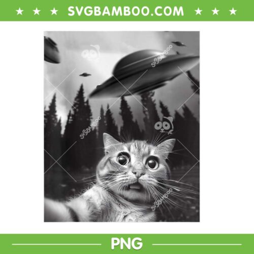 Cat Selfie With Alien UFO PNG, Alien Ufo And Cat PNG, Funny Cat Lover PNG