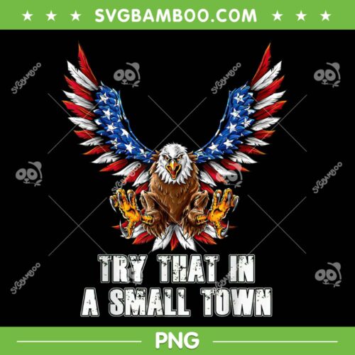 Eagle American Flag Try That In My Town PNG, Eagle With American Flag PNG, Distressed US Flag PNG