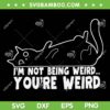 Im Not Being Weird You're Weird Cat SVG PNG, Cat Quote SVG, Funny Cat Meme DXF SVG PNG EPS Im Not Being Weird You're Weird Cat SVG PNG, Cat Quote SVG, Funny Cat Meme DXF SVG PNG EPS