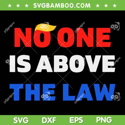 Trump No One is Above The Law SVG PNG, Donald Trump 2024 SVG, President American DXF SVG PNG EPS