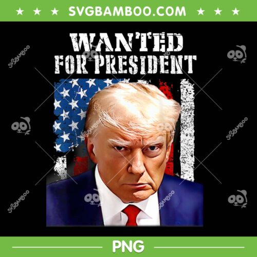 Donald Trump Wanted For President 2024 PNG, Trump Mugshot PNG, President Donald Trump 2024 PNG