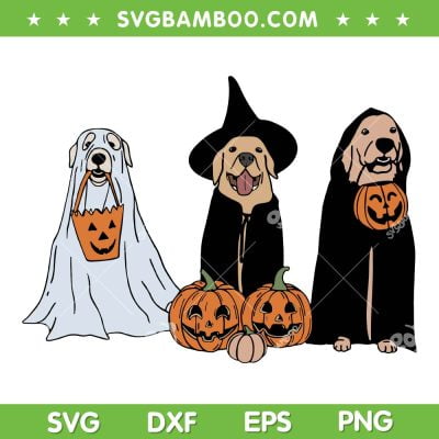 Golden Retriever Ghost Pumpkin SVG, Halloween Dog Witch SVG, Funny Dogs With Pumpkin DXF SVG PNG EPS Golden Retriever Ghost Pumpkin SVG, Halloween Dog Witch SVG, Funny Dogs With Pumpkin DXF SVG PNG EPS