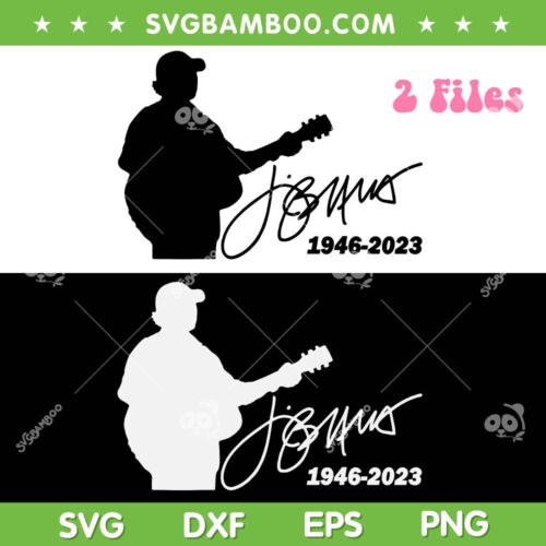 Jimmy Buffett Rip SVG PNG, 2 Files Jimmy Buffett Guitar SVG PNG, Parrot Head DXF SVG PNG EPS