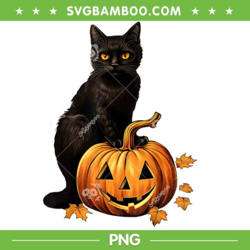 Retro Black Cat Halloween Pumpkin PNG, Black Cat And Pumpkin PNG, Cute Halloween PNG