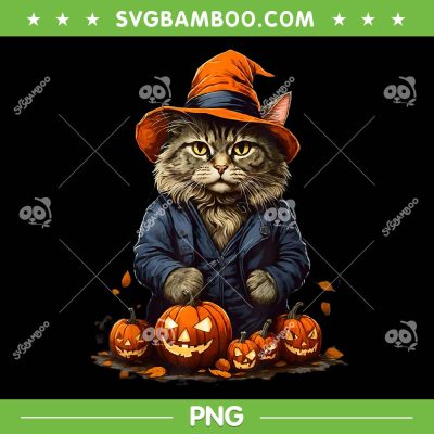Halloween Cats Pumpkin PNG, Cat Witch And Pumpkin PNG, Pumpkin Cute Halloween PNG