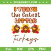 I Teach The Cutest Little Turkeys SVG, Teacher Thanksgiving SVG, Turkeys Day DXF SVG PNG EPS