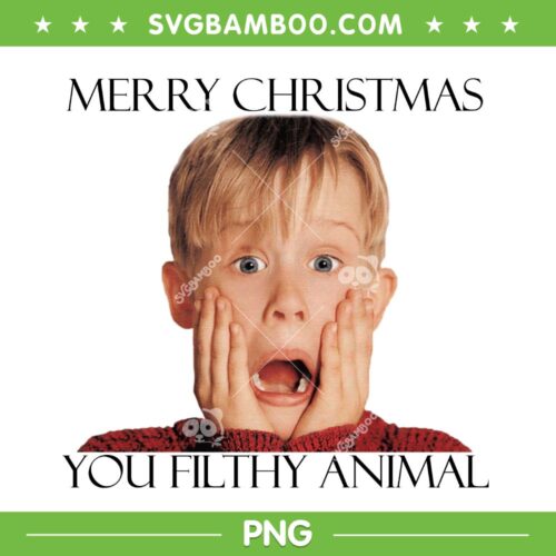Kevin Home Alone Funny PNG, Merry Christmas You Filthy Animal PNG, Christmas Movie PNG