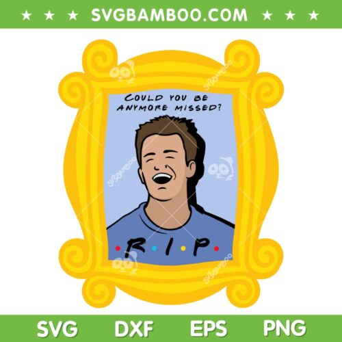 Matthew Perry Rip SVG PNG, Rest In Peace Friend Chandler Bing SVG, Matthew Perry 1969 2023 DXF SVG PNG EPS