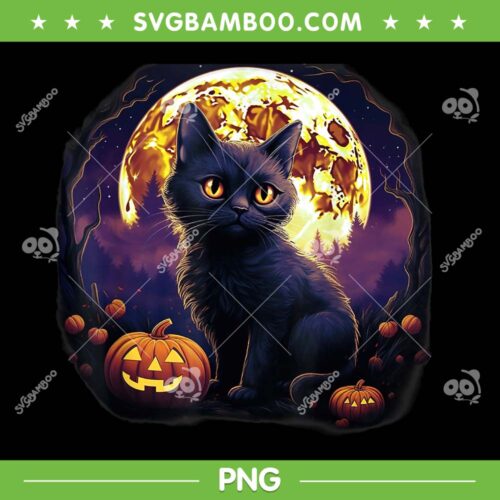 Pumpkin Black Cat Halloween PNG, Cat Pumpkin Moon Vintage Costume PNG, Cute Cat And Pumpkin With Moon PNG