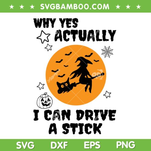 Why Yes Actually I Can Drive A Stick SVG PNG, Halloween Witch Cat SVG, Witchy Cat DXF SVG PNG EPS
