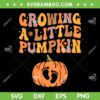 Growing A Little Pumpkin SVG PNG, Pregnancy Baby Pumpkin SVG, Fall Pregnancy Announcement DXF SVG PNG EPS Growing A Little Pumpkin SVG PNG, Pregnancy Baby Pumpkin SVG, Fall Pregnancy Announcement DXF SVG PNG EPS