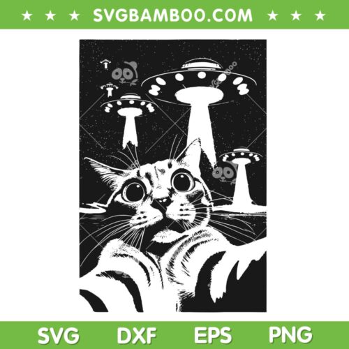 Funny Cat UFO Selfie SVG PNG, Cat UFO Picture Meme SVG, Cat With UFO DXF SVG PNG EPS
