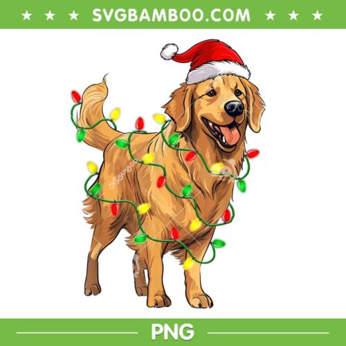 Golden Retriever Santa Hat PNG, Retriever Dog Christmas Tree Lights PNG, Dog Santa Hat PNG
