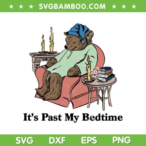 It's Past My Bedtime SVG PNG, Bear Taking A Nap Next To Books SVG, Bedtime Bear DXF SVG PNG EPS