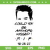 Rest In Peace Matthew Perry SVG, Could You Be Anymore Missed Rip SVG, Matthew Perry Rip 10 28 23 DXF SVG PNG EPS