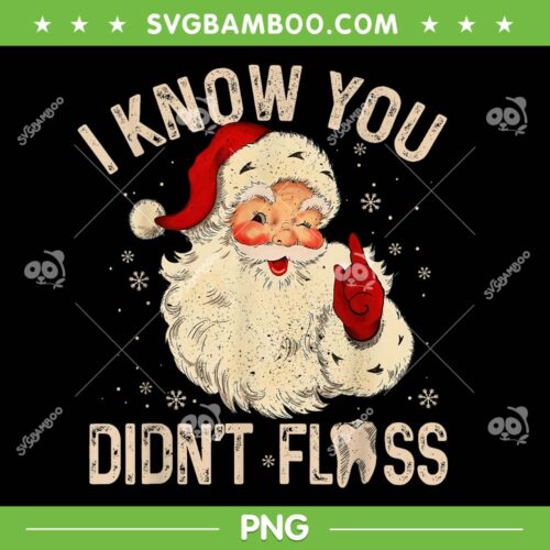Santa I Know You Didn't Floss PNG, Dentist Dental Christmas PNG, Flossing Santa PNG
