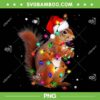 Squirrel Christmas Santa PNG, Squirrels Lover Xmas PNG, Christmas Lights Squirrel PNG Squirrel Christmas Santa PNG, Squirrels Lover Xmas PNG, Christmas Lights Squirrel PNG