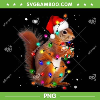 Squirrel Christmas Santa PNG, Squirrels Lover Xmas PNG, Christmas Lights Squirrel PNG