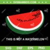 This Is Not A Watermelon SVG PNG, Watermelon Palestine Collection SVG, Watermelon Fruit DXF SVG PNG EPS