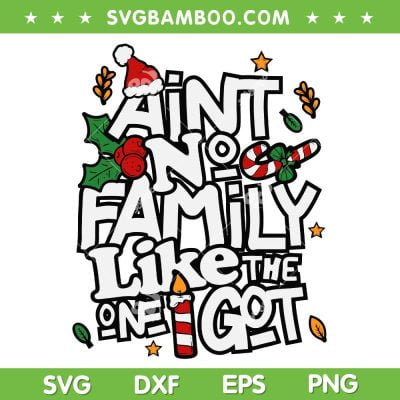 Aint No Family Like The One I Got SVG, Family Christmas SVG, Family Vacation Xmas DXF SVG PNG EPS