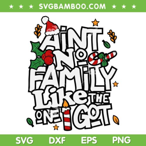 Aint No Family Like The One I Got SVG, Family Christmas SVG, Family Vacation Xmas DXF SVG PNG EPS