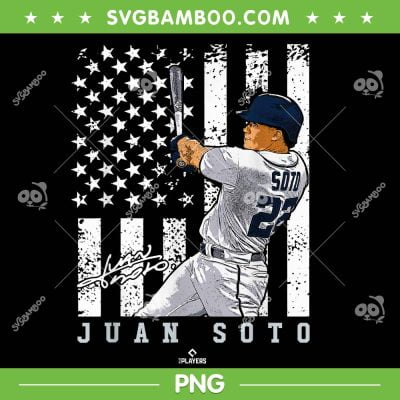 Show Your Pride Juan Soto PNG, New York MLBPA PNG, Juan Soto American Flag PNG