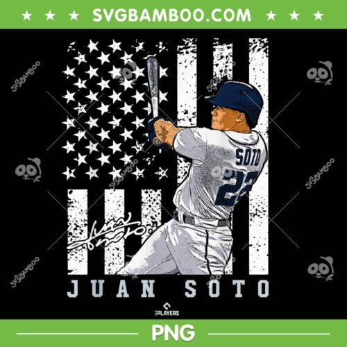 Show Your Pride Juan Soto PNG, New York MLBPA PNG, Juan Soto American Flag PNG
