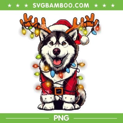 Siberian Husky Christmas Tree Lights PNG, Husky Reindeer Santa PNG, Siberian Husky Xmas PNG Siberian Husky Christmas Tree Lights PNG, Husky Reindeer Santa PNG, Siberian Husky Xmas PNG