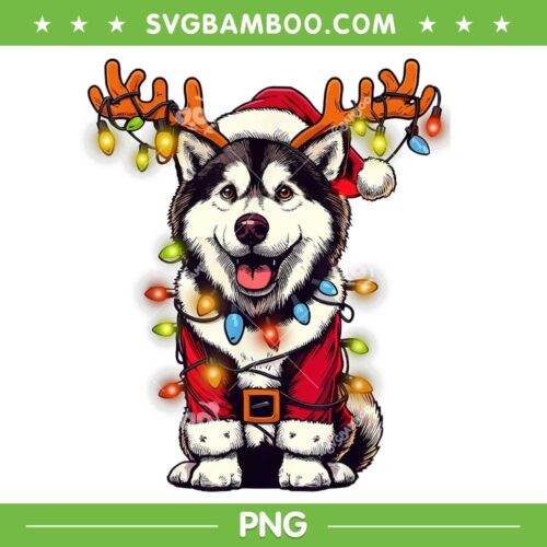 Siberian Husky Christmas Tree Lights PNG, Husky Reindeer Santa PNG, Siberian Husky Xmas PNG