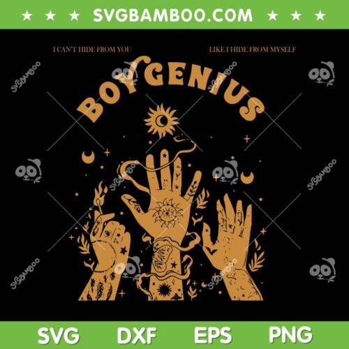 I Can't Hide From You Like Hide From Myself SVG, Boygenius Womens SVG, Boygenius Band 2023 Tour DXF SVG PNG EPS