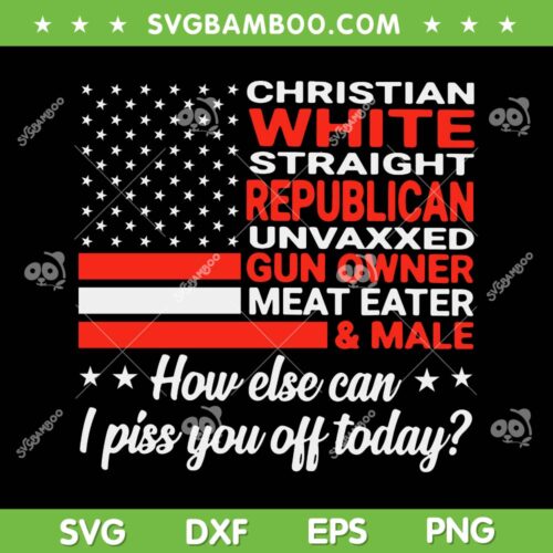 Christian White Straight Republican Unvaxxed SVG, Gun Owner Meat Eater And Male SVG, Funny Christian DXF SVG PNG EPS