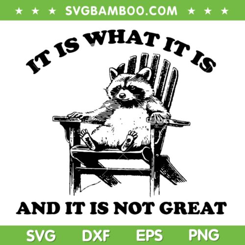 It Is What It Is And It Is Not Great SVG, Raccoon Quote SVG, Raccoon Meme DXF SVG PNG EPS