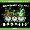 Shenanigans With My Gnomies PNG, St Patrick's Day Gnomes Leopard PNG, Gnomes Shamrock PNG Shenanigans With My Gnomies PNG, St Patrick's Day Gnomes Leopard PNG, Gnomes Shamrock PNG