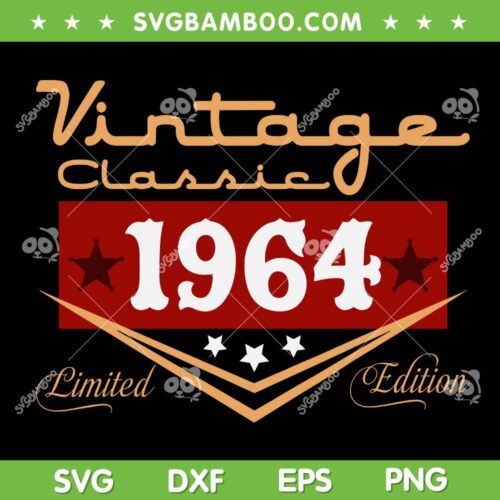 Vintage 60th Birthday SVG PNG, Decorations Vintage 60 Year Old SVG, Vintage Classic 1964 DXF SVG PNG EPS