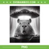 Capybara Selfie With UFOs PNG, Funny Alien Selfie PNG, Retro Alien Saucer PNG